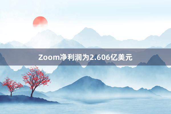 Zoom净利润为2.606亿美元